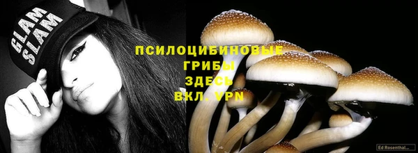 бошки Армянск