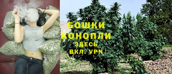 дурь Аркадак