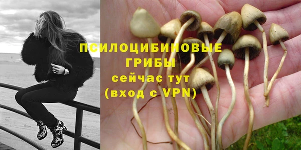 гидропоника Арсеньев
