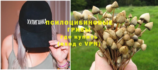 бошки Армянск